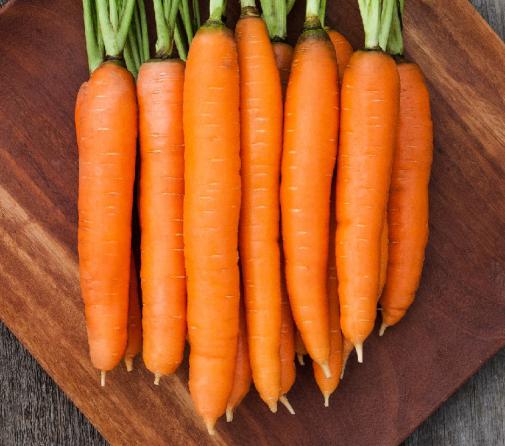 عرضه کننده هویج دزفول