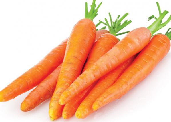 پخش کلی هویج در دزفول