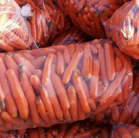 فواید مصرف هویج برای سلامتی