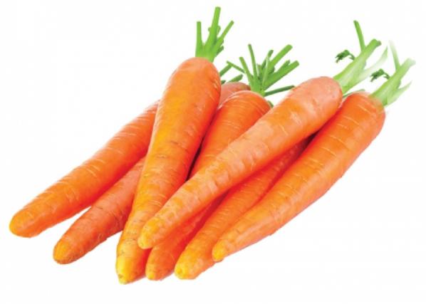 مرکز پخش هویج تازه صادراتی