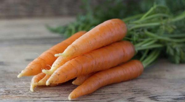 مراکز پخش هویج دزفول