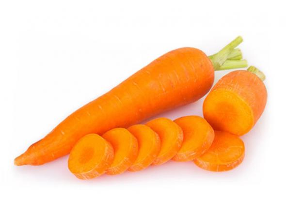 مراکز پخش هویج نارنجی عمده