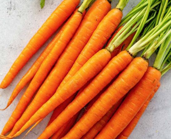 تولید کننده هویج دستچین صادراتی