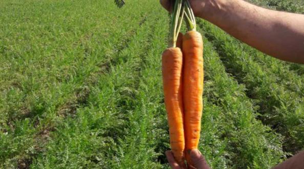 تاثیر مصرف آب هویج بر روشنایی صورت