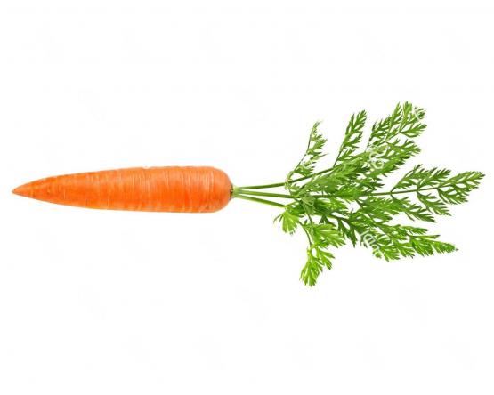 مصرف هویج راهی برای جلوگیری از کم خونی