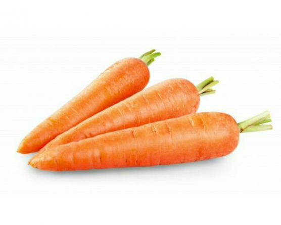 عرضه عمده هویج صادراتی