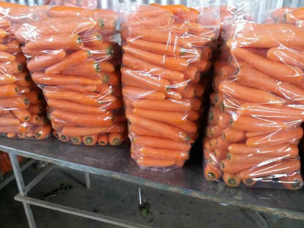 ویتامین های موجود در هویج