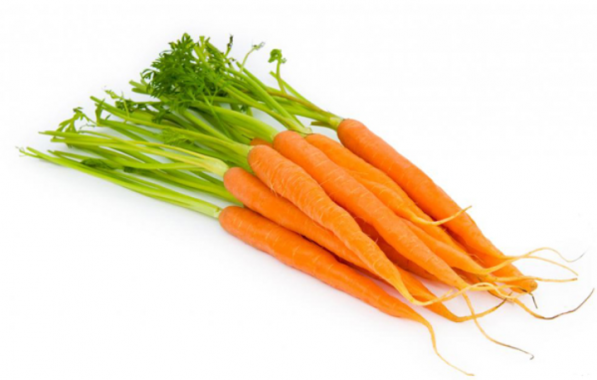 بازار فروش گیاه هویج