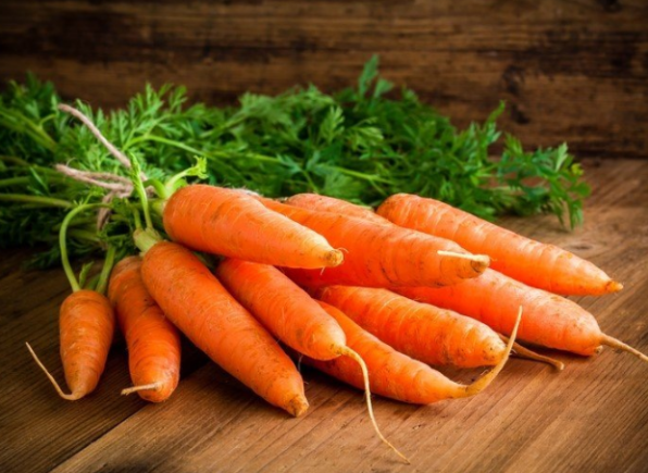 مرکز فروش گیاه هویج